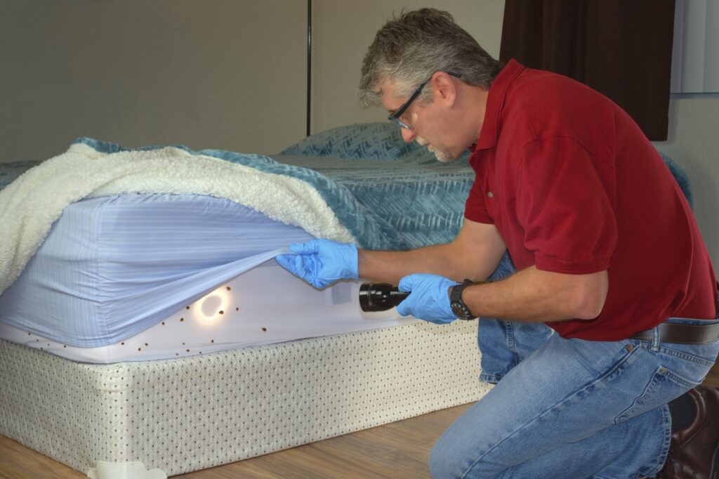 Bed Bugs Control