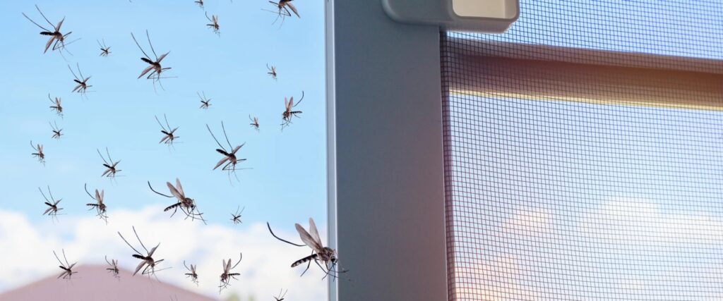 Westwood Pest Control