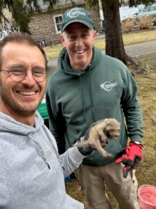 Surprise Raccoon Rescue in the Basement