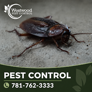 Westwood Pest Control place picture