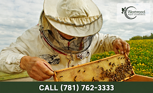 Westwood Pest Control place picture