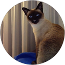 KC Derany profile picture